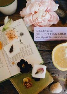 Our Top 10 Wax Melt Collection
