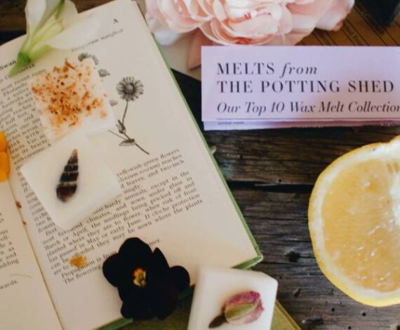 Our Top 10 Wax Melt Collection