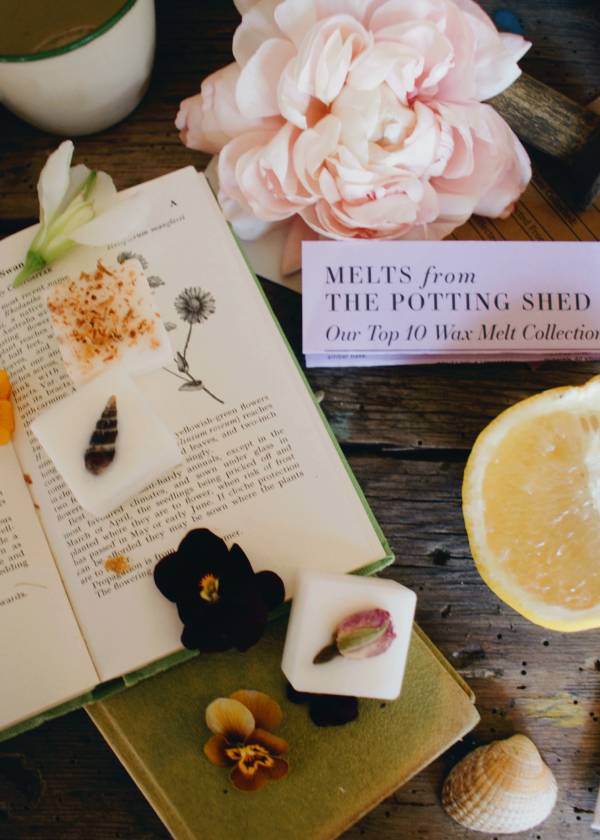 Our Top 10 Wax Melt Collection