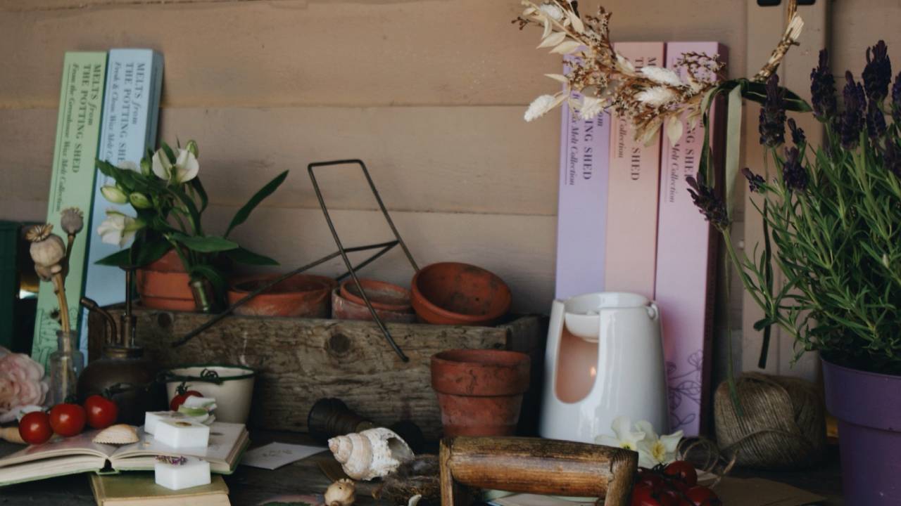 Events, Melfts from the potting shed - Suffolk Markets